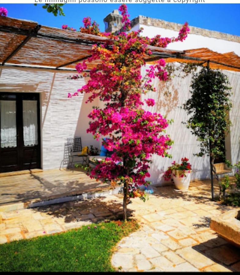 Room In Bb - Stunning Quadruple Room In Ancient Masseria Near The Sea In A Quiet Olive Trees Ostuni Exterior photo